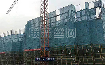 建筑外墙爬架网